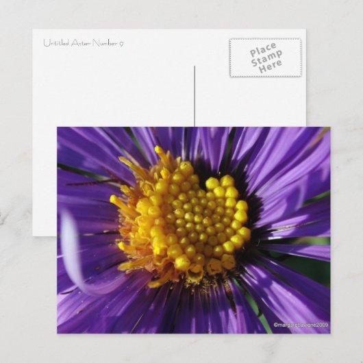 Unbenannt Aster Nummer 8 Postkarte (Vorne/Hinten)