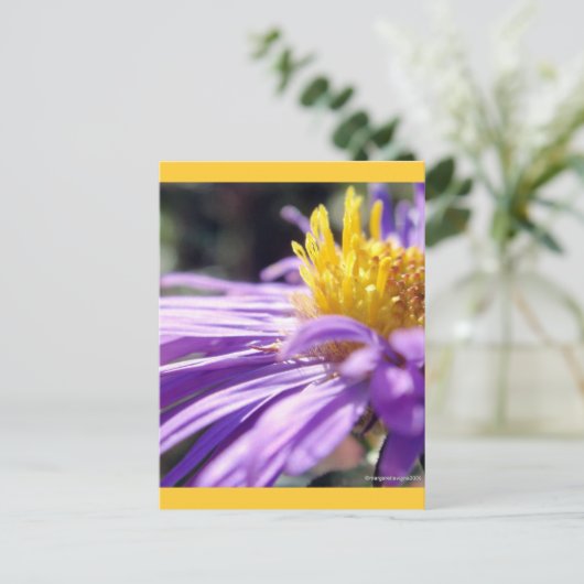 Unbenannt Aster Nummer 9 Postkarte (Stehend Vorderseite)