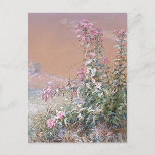 unbenannt   Fidelia Bridges Postkarte