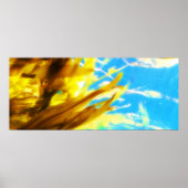 unbenannt poster (Vorne)