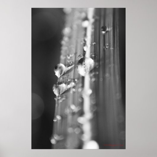 unbenannt poster (Vorne)