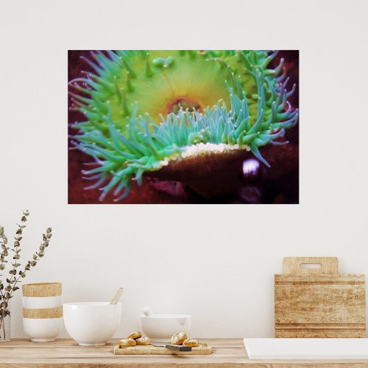 unbenannt poster (Küche)