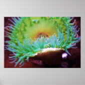 unbenannt poster (Vorne)