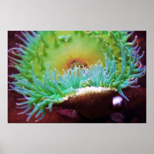 unbenannt poster (Vorne)