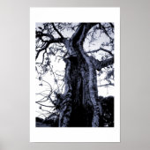 unbenannt poster (Vorne)