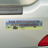 Unberechtigter Autoaufkleber (Auf Auto)