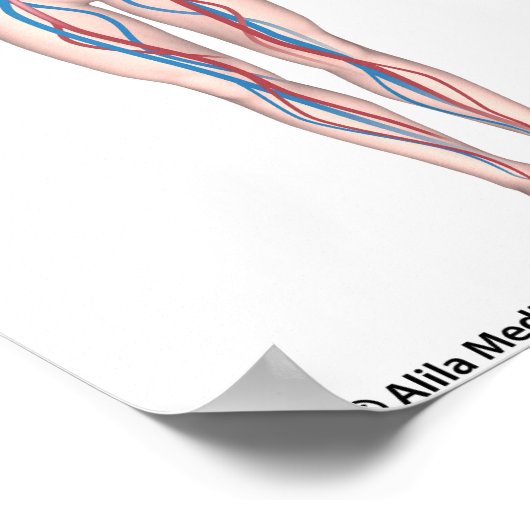 Unbeschriftes Plakat-System für die menschliche Zi Poster (Ecke)