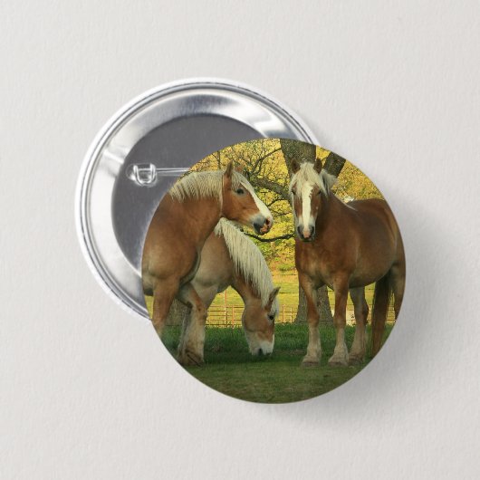 unbestimmt button (Vorne & Hinten)