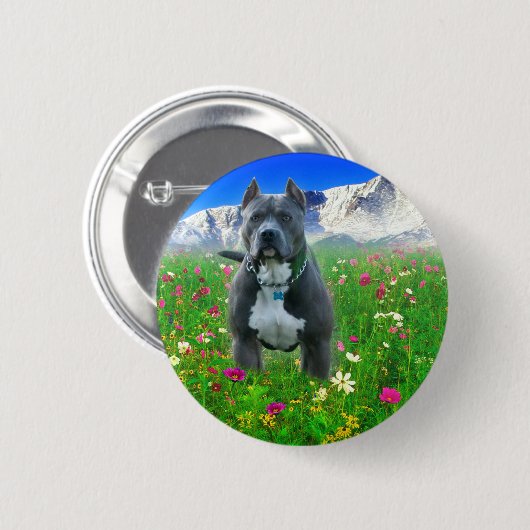 unbestimmt button (Vorne & Hinten)