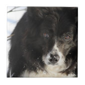 unbestimmt fliese (Vorderseite)