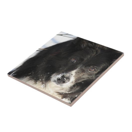 unbestimmt fliese (Seite)