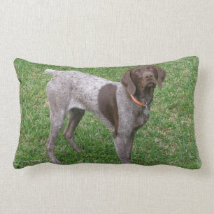 unbestimmt lendenkissen