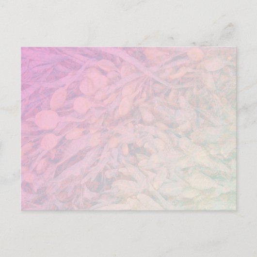 unbestimmt postkarte (Vorderseite)