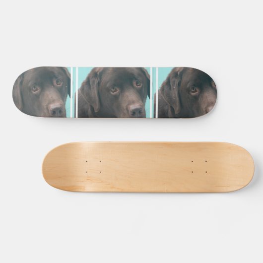unbestimmt skateboard (Horizontal)