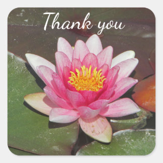 Unbezahlbarer Dank Ihnen Hellrosa Water Lily Foto Quadratischer Aufkleber