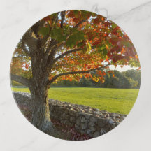 Uncanoonuc Herbst Baum Schmuck Tablett