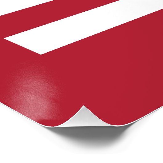 Uncle Sam Cartoon Poster (Ecke)