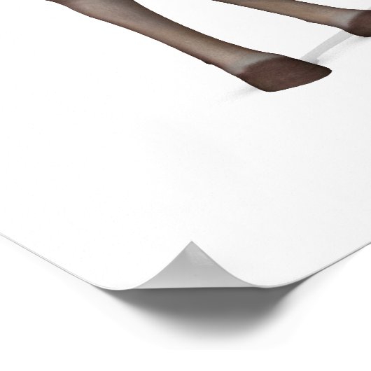 Uncle Sam Lieben Donkeys Poster (Ecke)