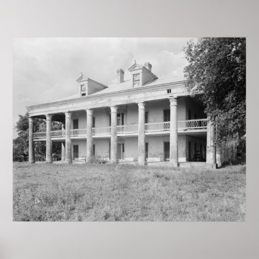Uncle Sam Plantation Poster (Vorne)
