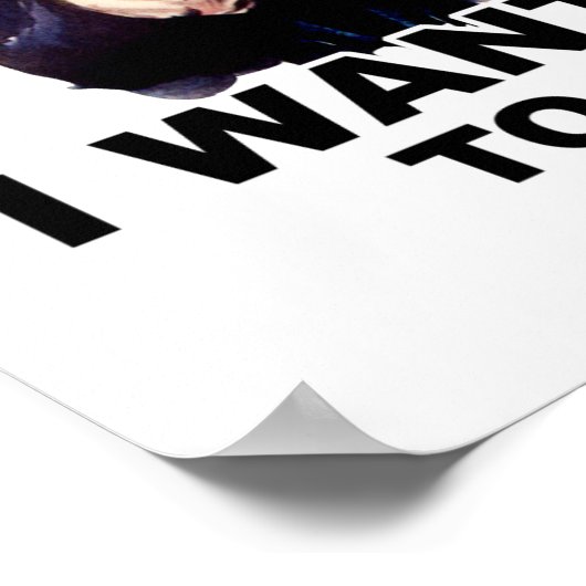 Uncle Sam WOLL YOU stfu Poster (Ecke)