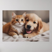 Unconditional Love Poster (Vorne)