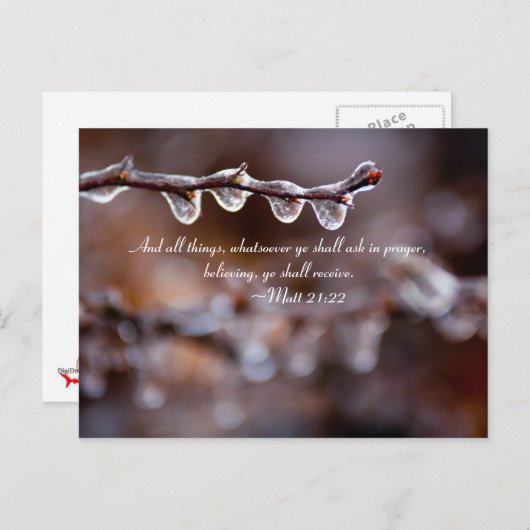 Und alles, was auch immer ihr im Gebet frage, Postkarte (Vorne/Hinten)