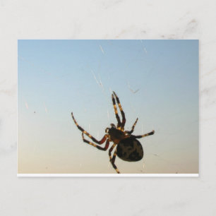 Und da saß eine Spinne Postkarte