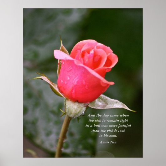 Und der Tag kam.... Poster (Vorne)