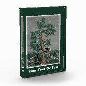 Und eine Porcupine in einem Kiefernbaum Fotoblock (Links)