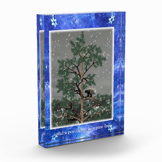 Und eine Porcupine in einem Kiefernbaum Fotoblock (Links)