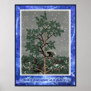 Und eine Porcupine in einem Kiefernbaum Poster