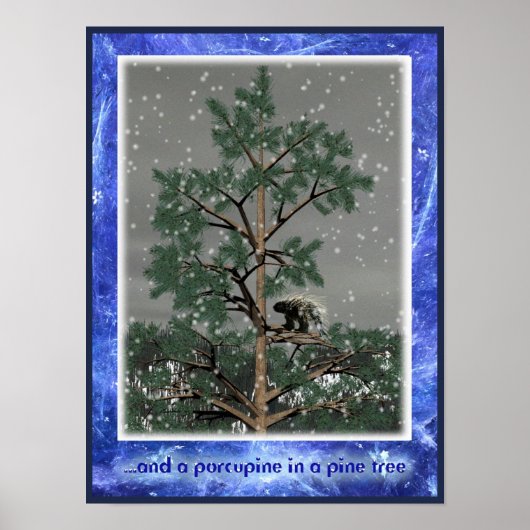 Und eine Porcupine in einem Kiefernbaum Poster (Vorne)