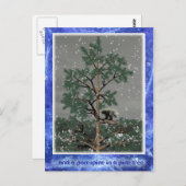 Und eine Porcupine in einem Kiefernbaum Postkarte (Vorne/Hinten)