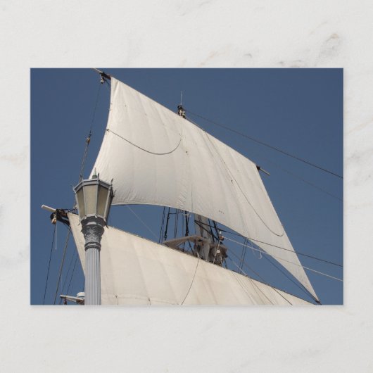 ... und eine Straßenlampe, um sie zu steuern. Postkarte (Vorderseite)