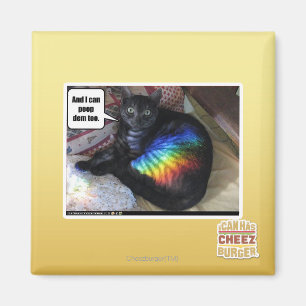 Und ich kann DM auch kacken Magnet