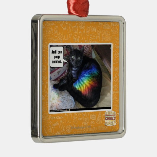 Und ich kann DM auch kacken Silbernes Ornament (Rechts)