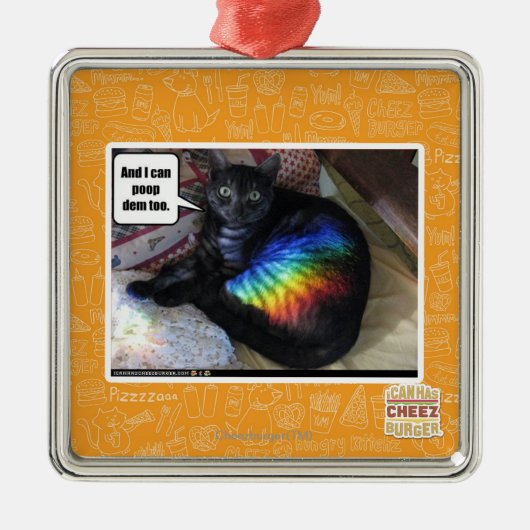 Und ich kann DM auch kacken Silbernes Ornament (Vorne)