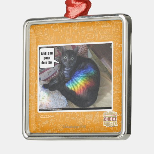 Und ich kann DM auch kacken Silbernes Ornament (Links)