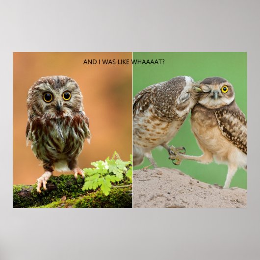 Und ich war wie Whaaaat? Poster (Vorne)