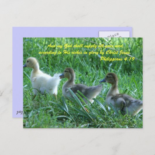 Und mein Gott wird alle eure Bedürfnisse gemäß Postkarte (Vorne/Hinten)