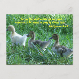 Und mein Gott wird alle eure Bedürfnisse gemäß Postkarte