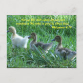 Und mein Gott wird alle eure Bedürfnisse gemäß Postkarte (Vorderseite)