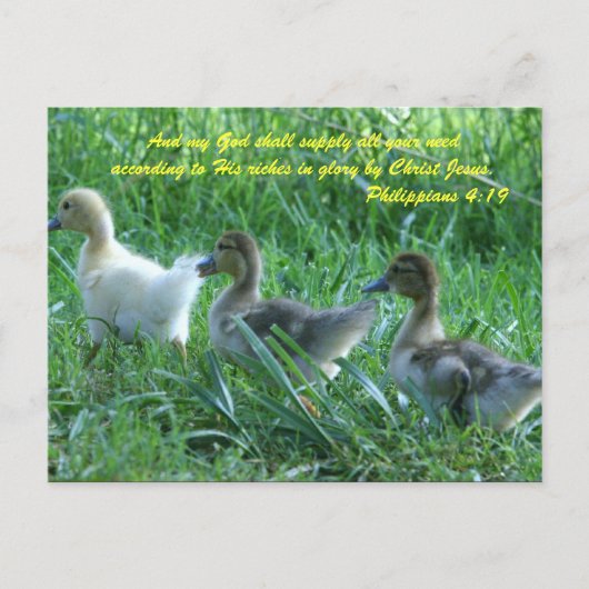 Und mein Gott wird alle eure Bedürfnisse gemäß Postkarte (Vorderseite)