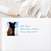 undefiniert (Insitu)