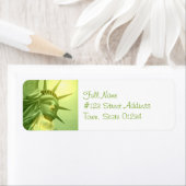 undefiniert (Insitu)