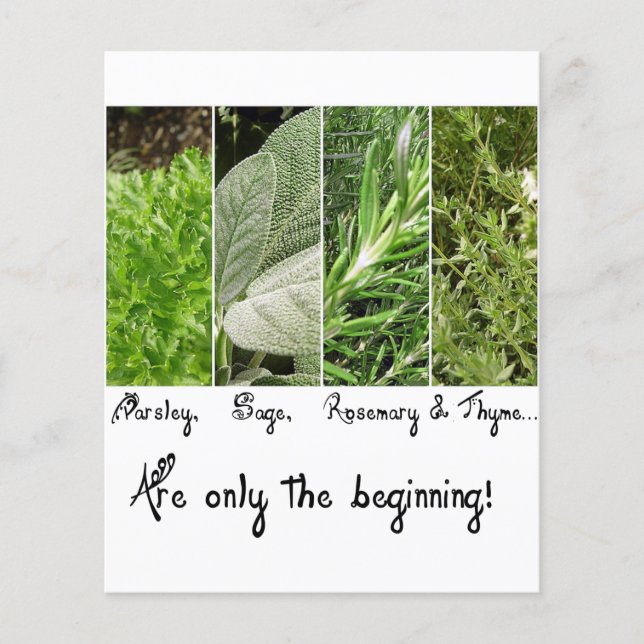 undefiniert (Vorderseite)