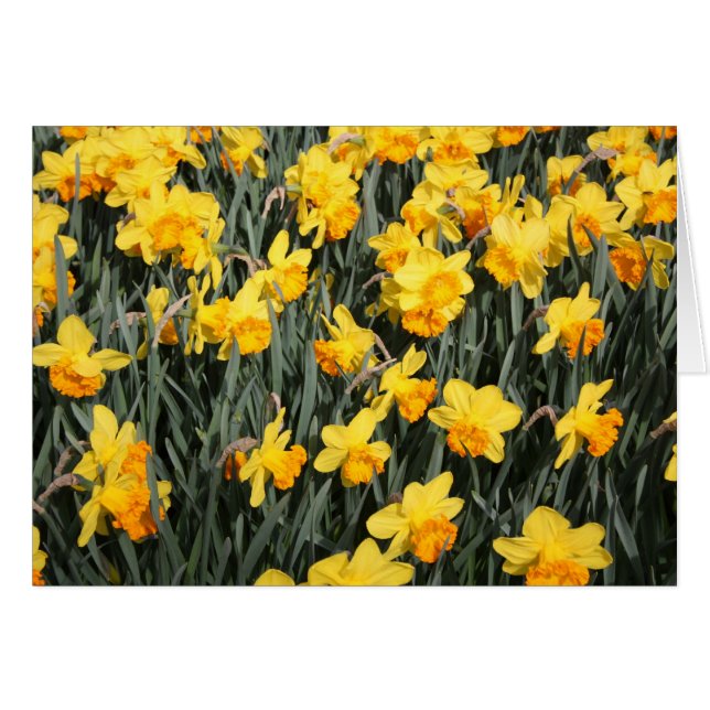 undefiniert (Vorderseite (Horizontal))