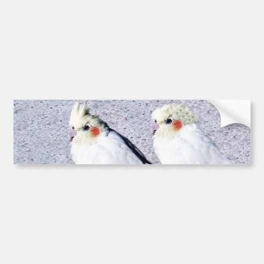 undefiniert autoaufkleber (Vorne)