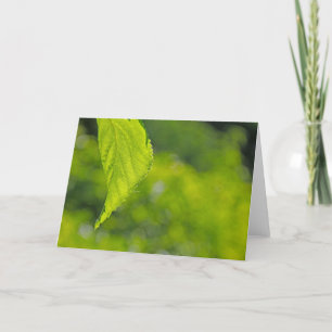 undefiniert feiertagskarte