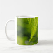 undefiniert kaffeetasse (Links)